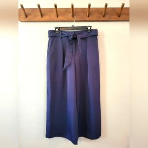 LOFT Pleated Cropped Pants with Belt | Navy Blue